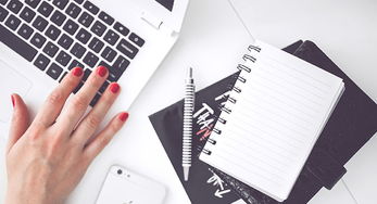 网站建设中品牌塑造与用户选择的多元综合影响机制